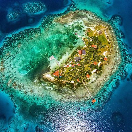Hatchet Caye Island Resort (Adults Only) Placencia Esterno foto