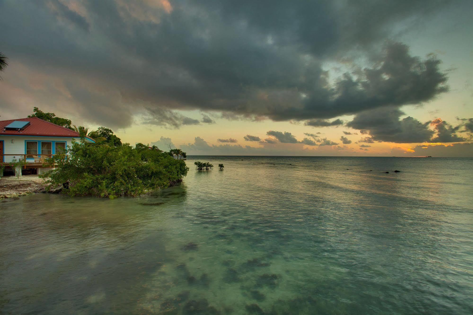Hatchet Caye Island Resort (Adults Only) Placencia Esterno foto